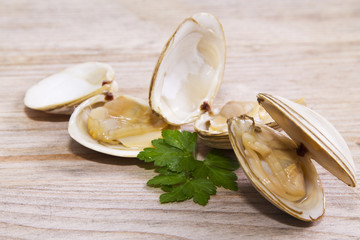 clams on wood