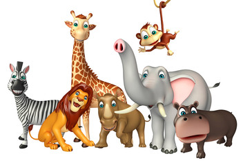 wild animal collection