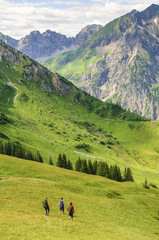 Fototapeta na wymiar Abstieg vom Berg über eine Almwiese