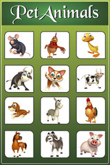 Fototapeta premium pet animal chart