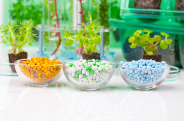 Different Mineral fertilizers in a chemical glass cup, on the wh