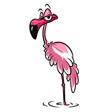 Pink flamingo bird cartoon illustration isolated image animal character 


