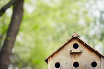 old bird house
