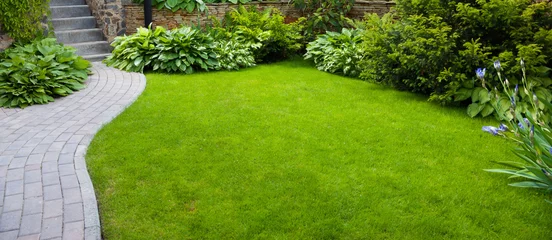 Abwaschbare Fototapete Pistache Gartenweg mit Gras