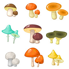 Set of colorful forest mushrooms