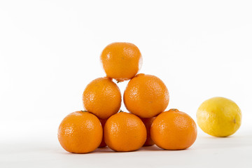 Bright Orange Clementines on a bright background