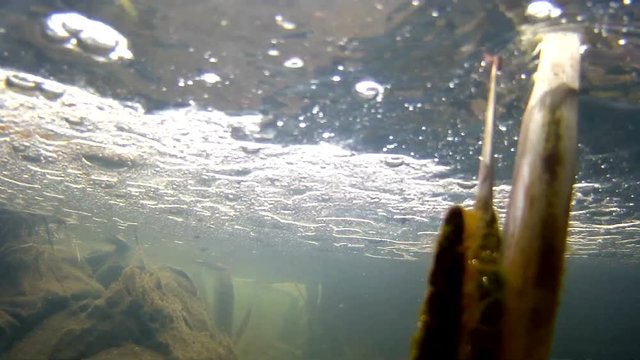 Abwasser l&auml;uft in einen Teich