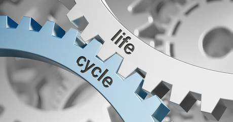 Life cycle