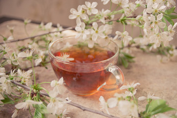 Cup of black tea with spring blossom branches on the old wooden