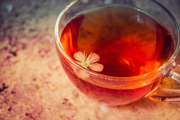Cup of black tea with cherry tree flower in it
