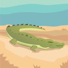 Crtoon isolated crocodile 