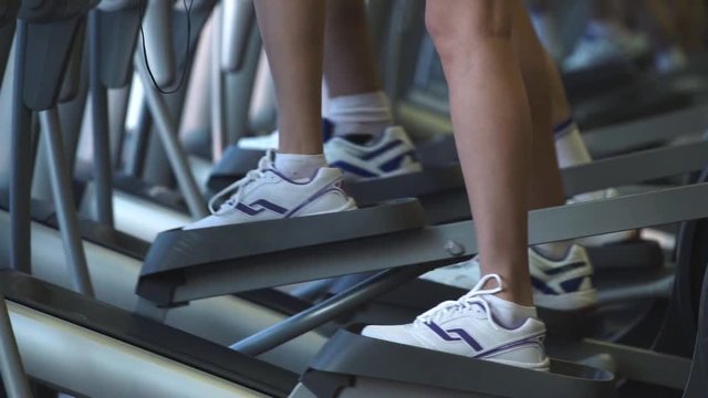 Human legs on a elliptical trainer