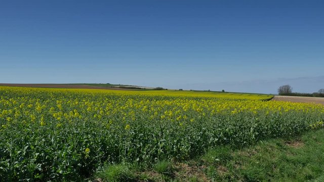 retour du printemps