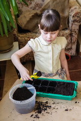 Girl with a serious look on his face puts a yellow shovel soil i