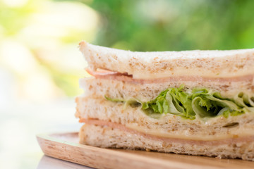 ham sandwich with green bokeh background.