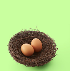 鳥の巣に入った玉子