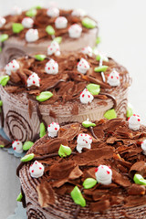 Chocolate birthday cake 