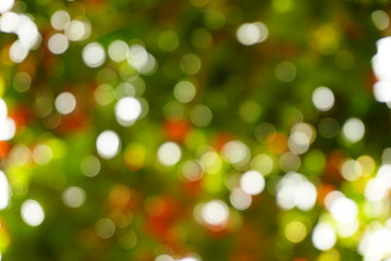 Obraz premium colorful green,orange nature blur bokeh abstract sunlight in the forest, summer or spring season background