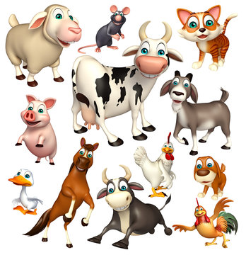 Fototapeta Farm animal collection