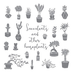 Succulents and other houseplants. Doodle set. Isolated