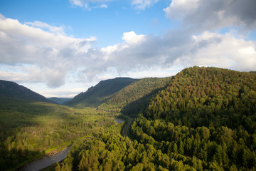 Aerial view on the forest and river