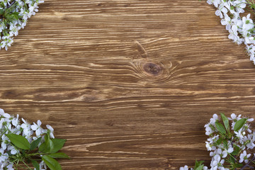 Obraz na płótnie Canvas Flowering branch of cherry on the wooden board.