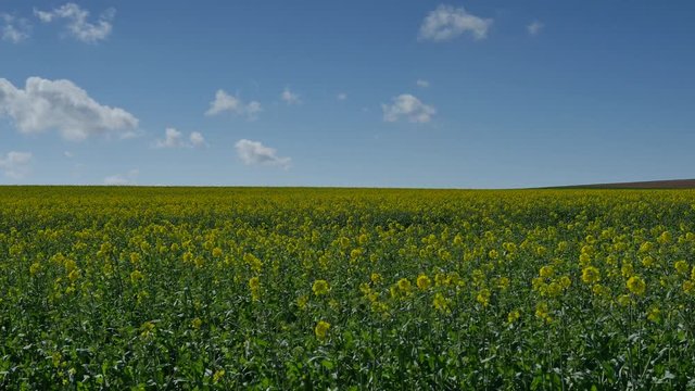retour du printemps