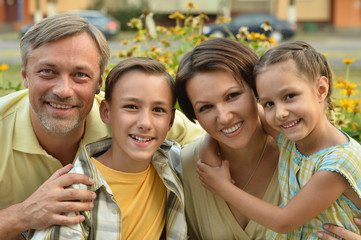 Family resting in  summer park