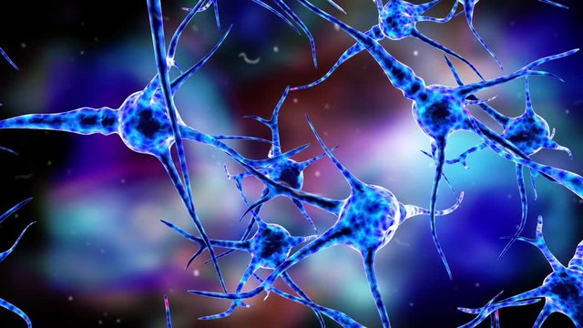 Nerve cells, concept for Neurological Diseases, tumors and brain surgery