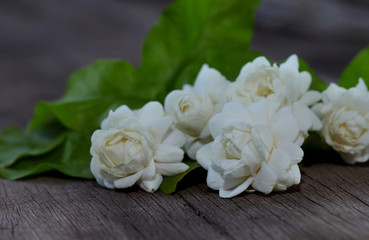 Tropical jasmine flower on wood.Jasmine flowers and leaves on br