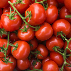 Red tomatoes.  tomato