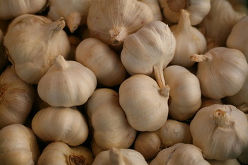 Knoblauch