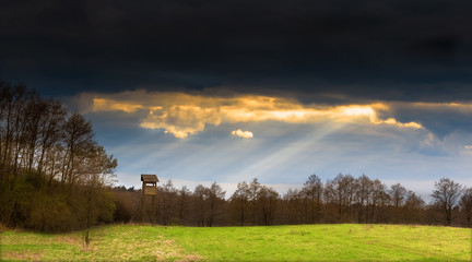 Wiosenne Pola  © Wojciech Lisiński