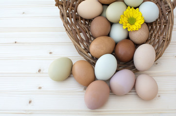 Fresh organic chickeneggs in old dusty basket on wooden backgrou