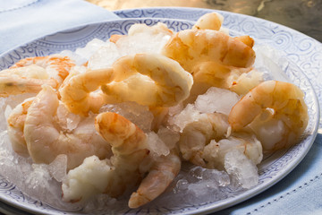 Frische Garnelen auf einem Teller mit crushed Eis im Sonnenlicht