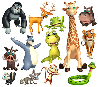 Fototapeta wild animal collection