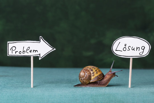 Schnecke kriecht von Schild Problem zu Schild L&ouml;sung