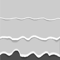 Vector ripped paper. Vector illustration of gray torn paper  wit