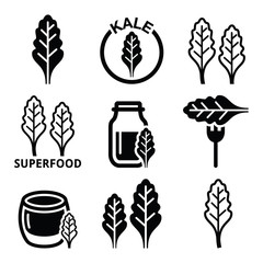 Superfood - kale leaves vector icons set  - obrazy, fototapety, plakaty