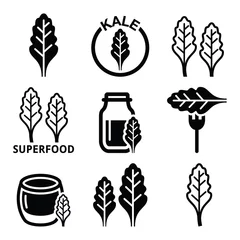 Poster Superfood - kale leaves vector icons set  © redkoala