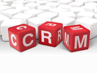 3d dice illustration with word CRM