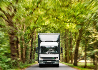 Lastwagen fährt durch eine Allee