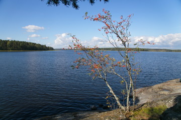 Vuoksa lake