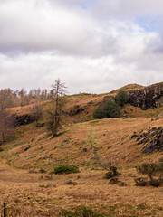 Naklejka premium Early springtime at Tarn Hows, Coniston, Cumbria, UK