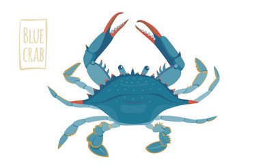 Blue crab, vector cartoon illustration