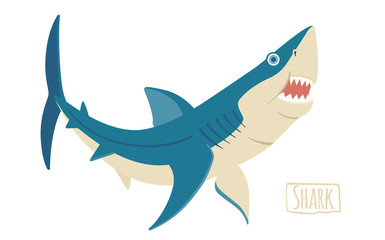 Shark, vector cartoon illustration