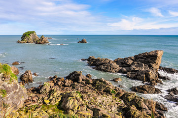 Coastal view in Cape Foulwind, New Zealand