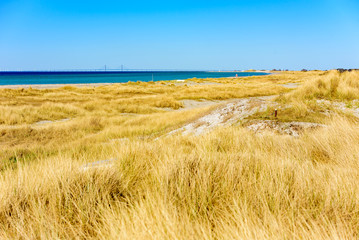 Yellow dry grass and sand dominates this lovely stretch of beach in Falsterbo, Sweden. The bridge to Denmark is seen in on the horizon.
