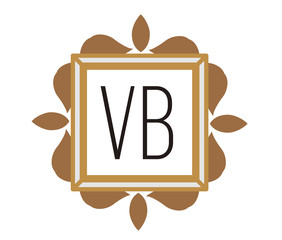 VB Initial Logo for your startup venture