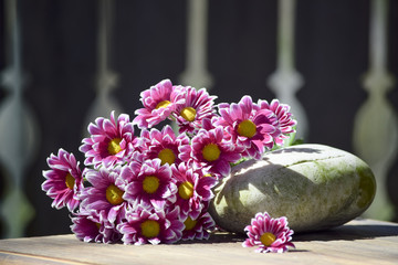 Chrysanthemen Ensemble